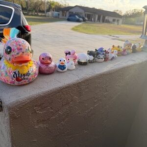 Colorful Rubber Duck Collection